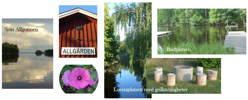 Collage av bilder: sjön Allgunnen, Allgården, lila blommor, badplats, Lovisaplatsen med grillmöjligheter.