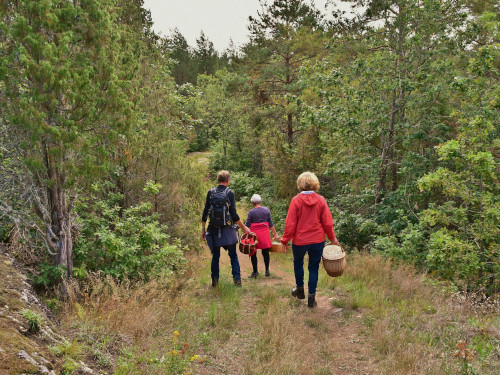 Vandring vid Aboda Klint. Foto: Jens Gustafsson.