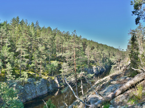 Vid ravinen, Mörtsjön, Trånshult. Foto: Jens Gustafsson.