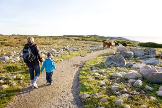 Vandrare i skog och mark